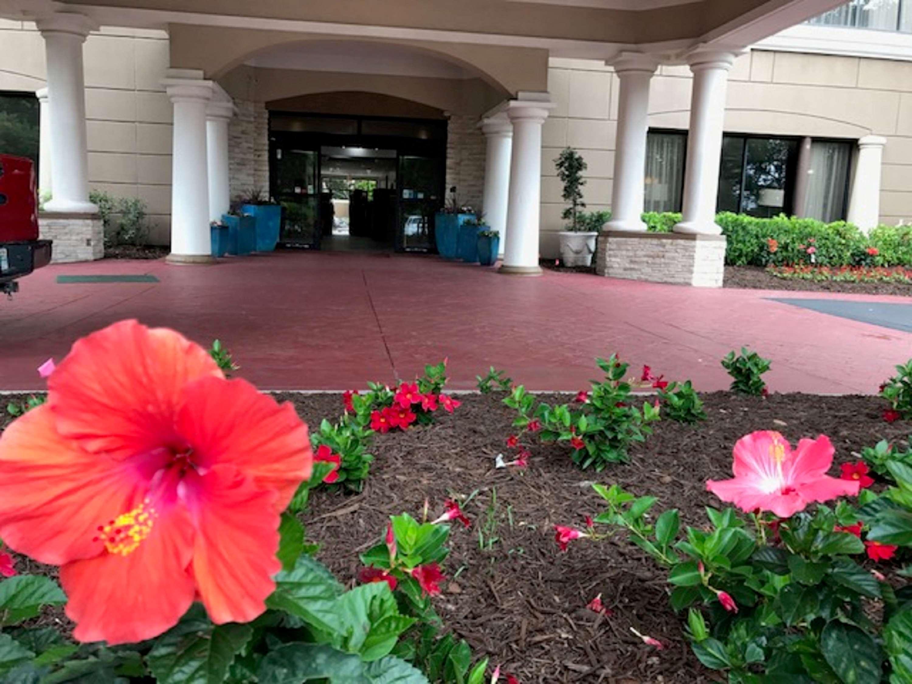 Aiden Austin City Hotel Exterior foto